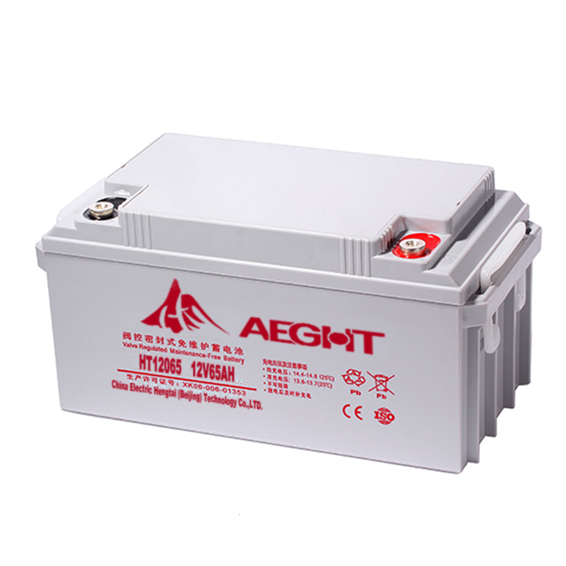 (gu)̩AEG-HT 12065